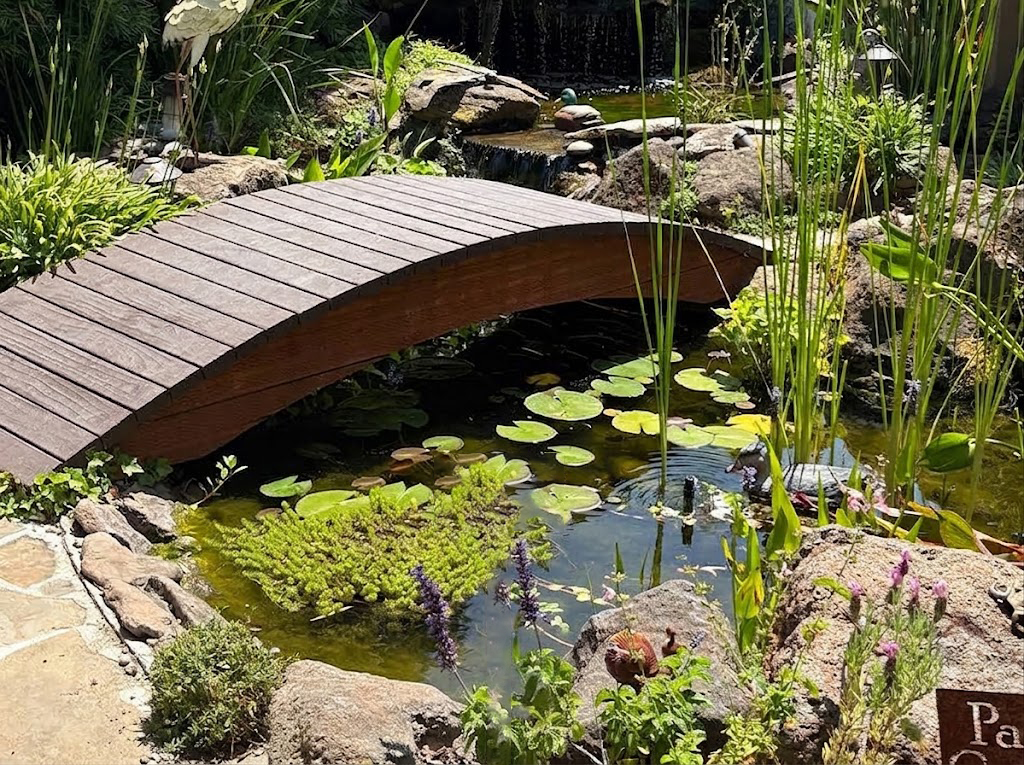Naturalistic garden pond surrounded by rocks and plants